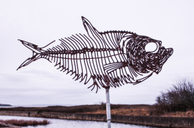 Månefisk - Gammel Havn